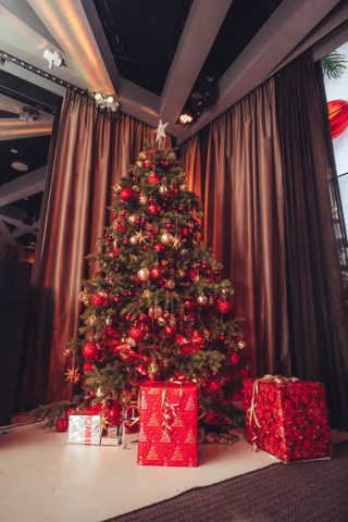 Palais-Wertheim_Galadinner_Xmas-38