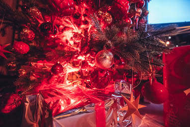 Palais-Wertheim_Galadinner_Xmas-39