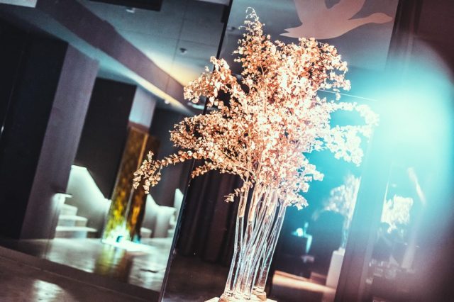 Palais_Wertheim_Galadinner_Speedinvest-8