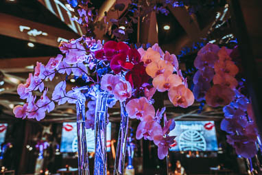 Palais WErtheim | Geburtstagsfest